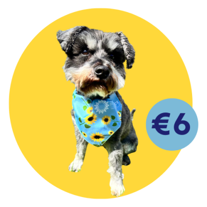 Dog Bandana One Size